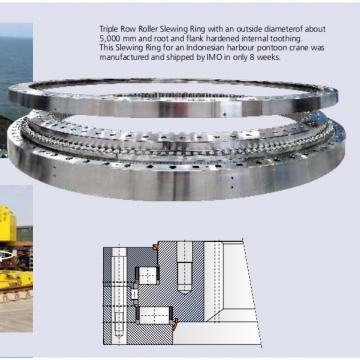 XSA140644-N slewing bearing for bridge crane